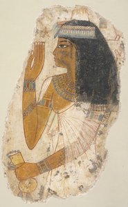 Dame Tjepu